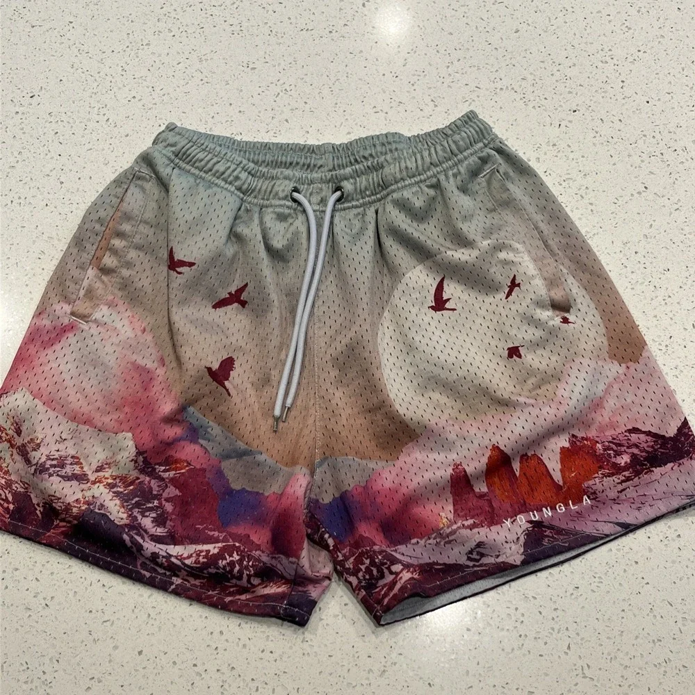YoungLA 141 Block Party Sedona Sunrise Mesh Gym Shorts Men's Sz Small Stretch 4